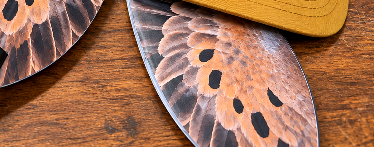 Two Wing Skins dove wing overlays resting on a walnut table, printed feather detail in close-up
