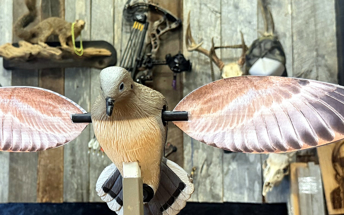 A MOJO spinning-wing decoy fitted with Wing Skins, wings fully deployed, photographed in Wesley's workshop